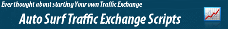 Start A Traffic Exchange Today